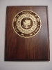 Plaques
