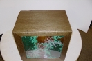 Chief cover box3