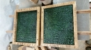 gator box1